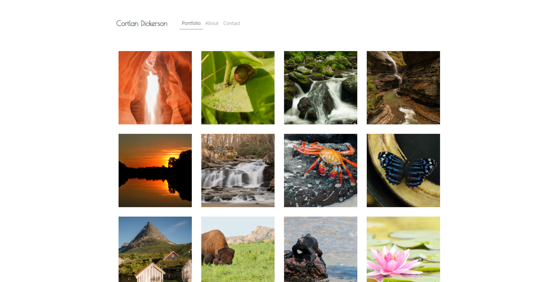 Carrollton Photography Website
